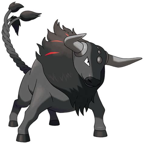 Tauros .